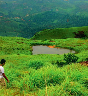 Wayanad