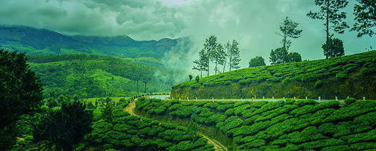 Best of Kerala